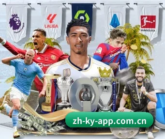 开云app官网 APP
