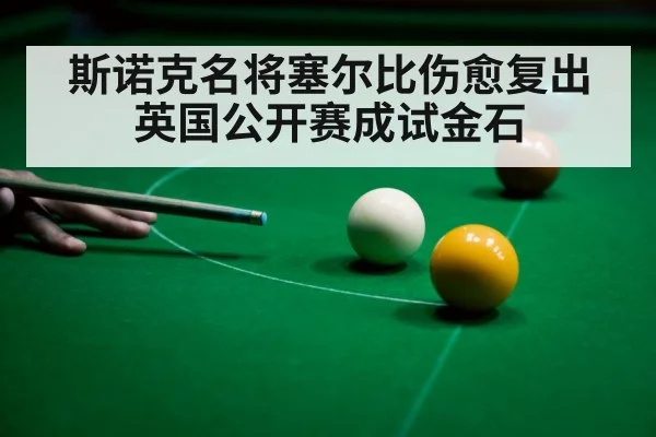斯诺克名将塞尔比伤愈复出 英国公开赛成试金石